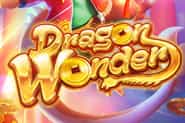 dragon-wonder