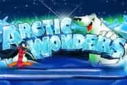 arctic-wonders