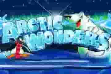game-Arctic Wonders